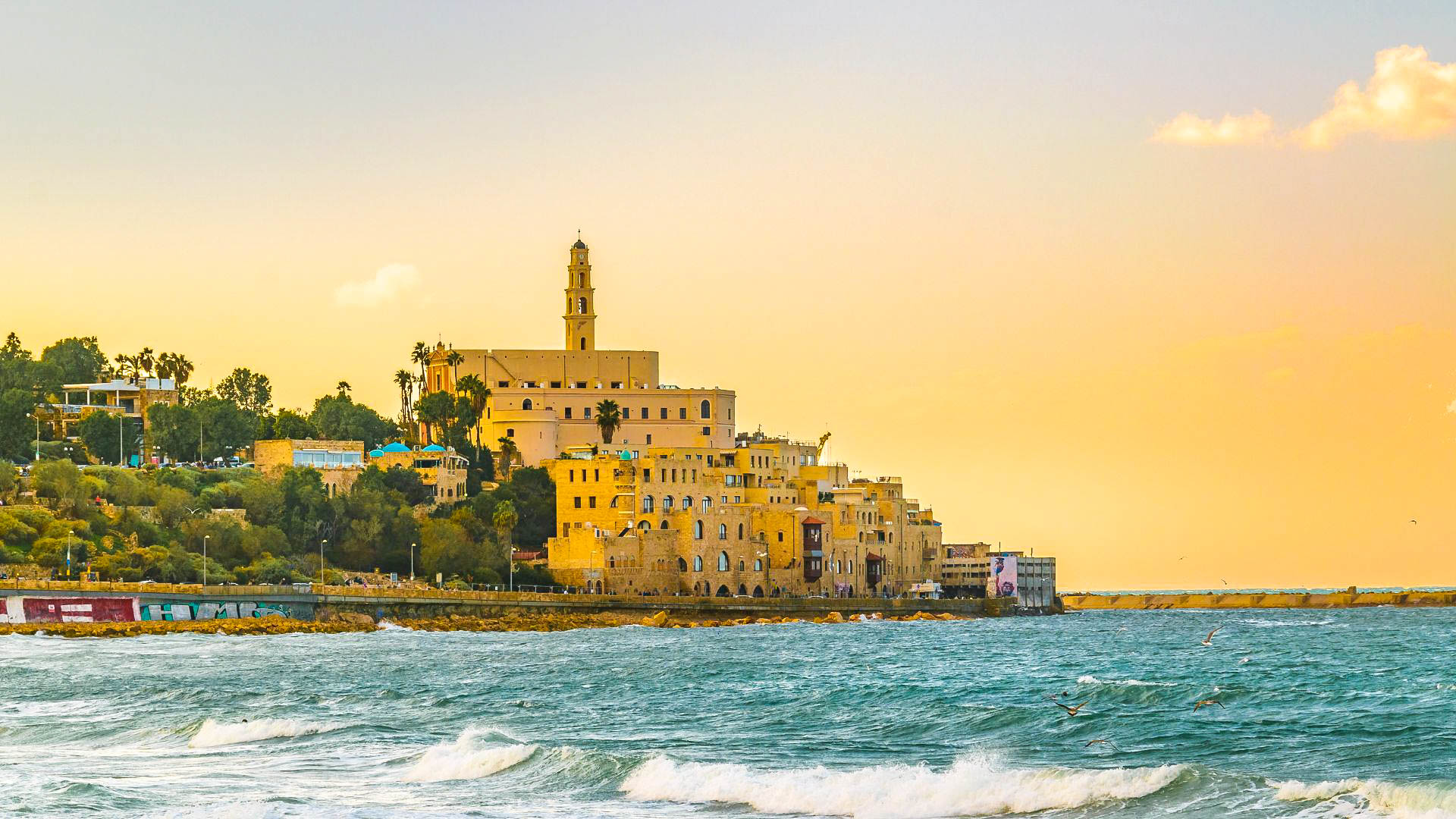 Tour Il fascino di Israele