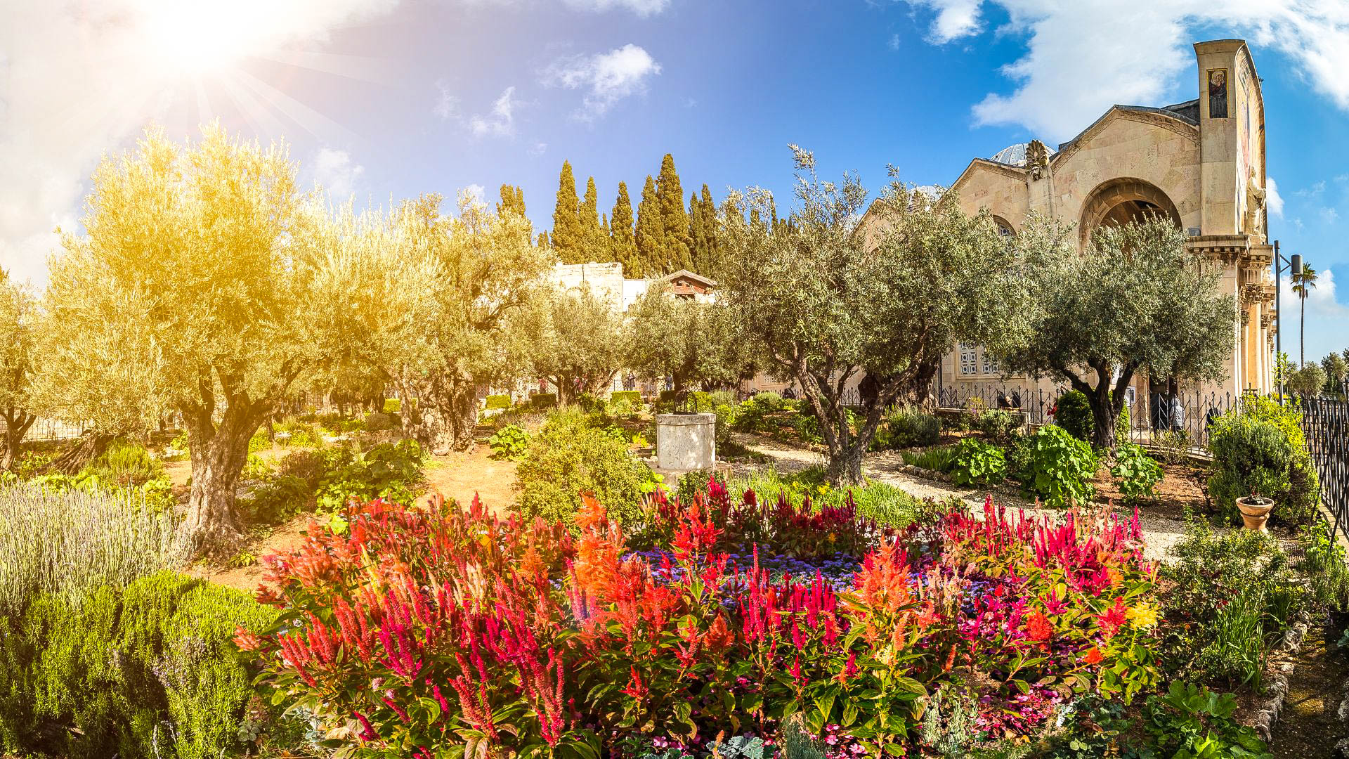 Tour Il fascino di Israele