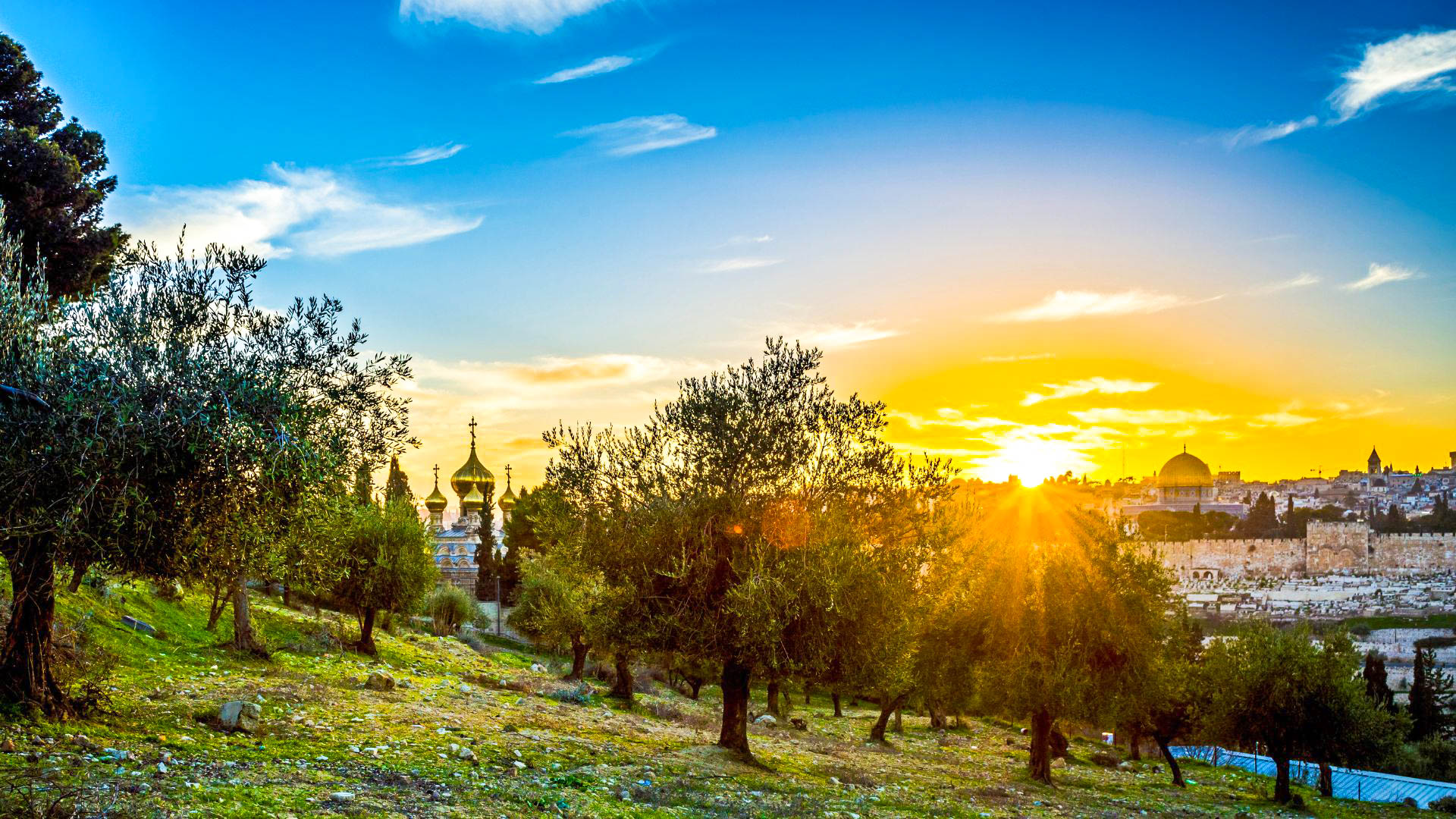 Tour Il fascino di Israele