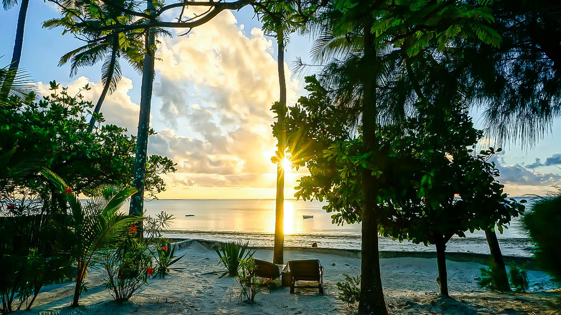 Indigo Beach Zanzibar