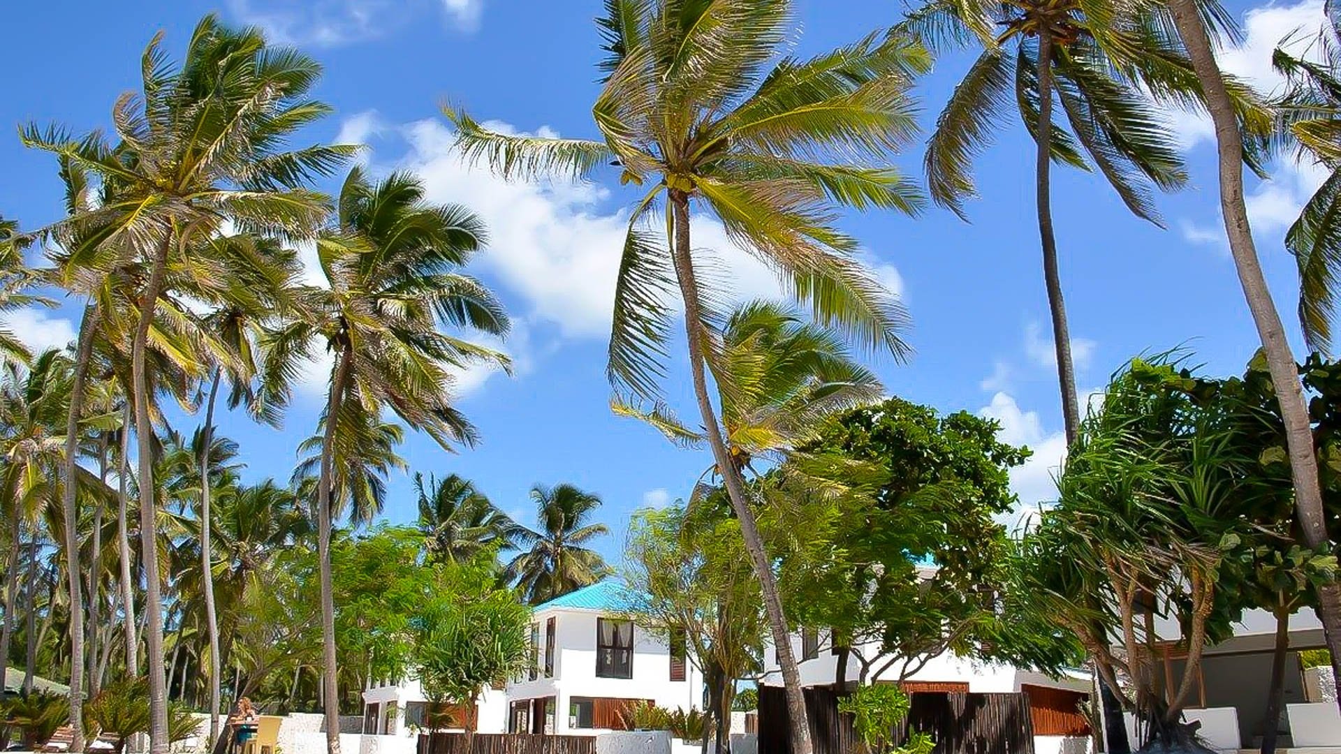 Indigo Beach Zanzibar
