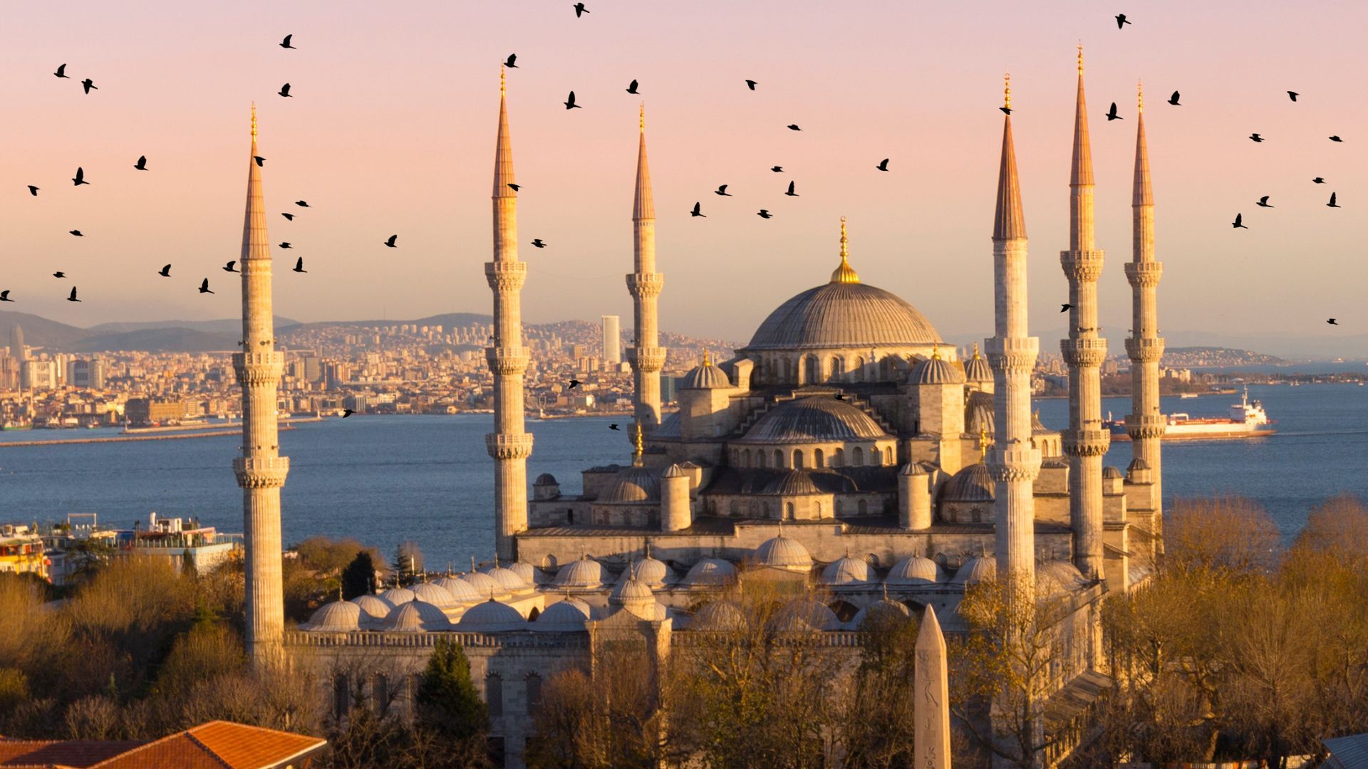 Istanbul Speciale Immacolata