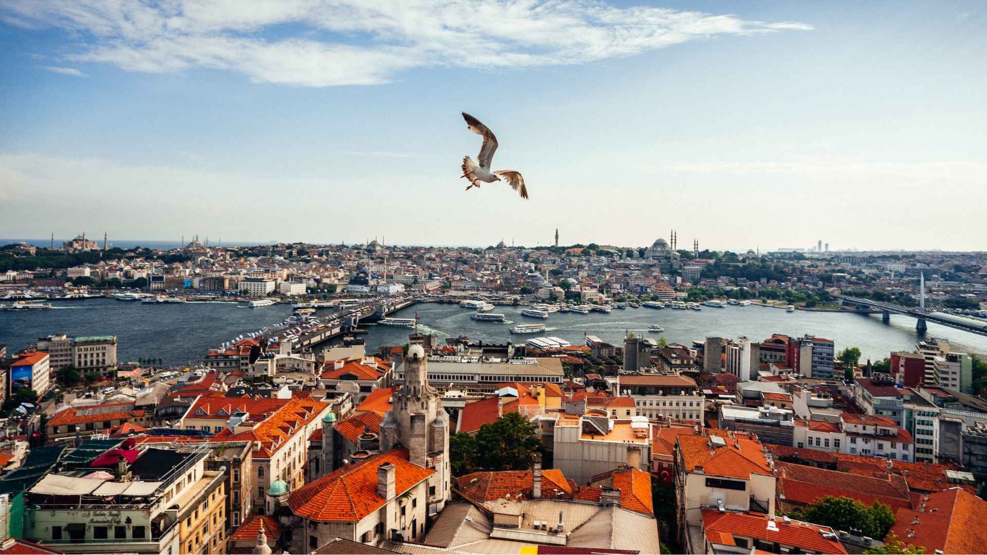 Istanbul Speciale Immacolata