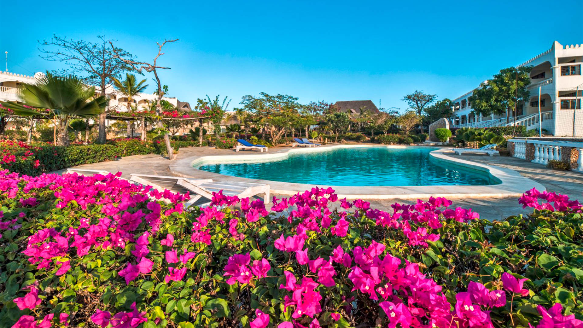 Jumbo Watamu Resort