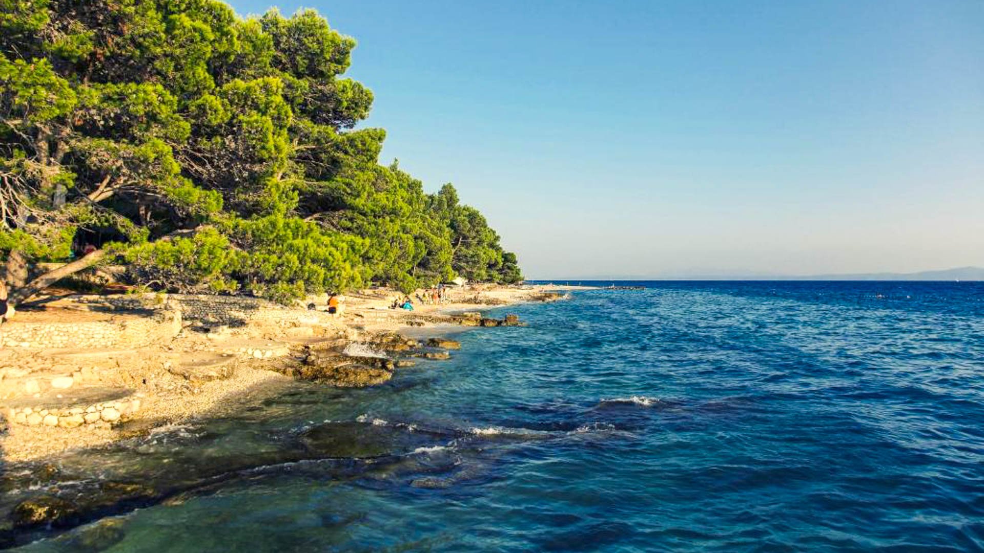 Camping Basko Polje