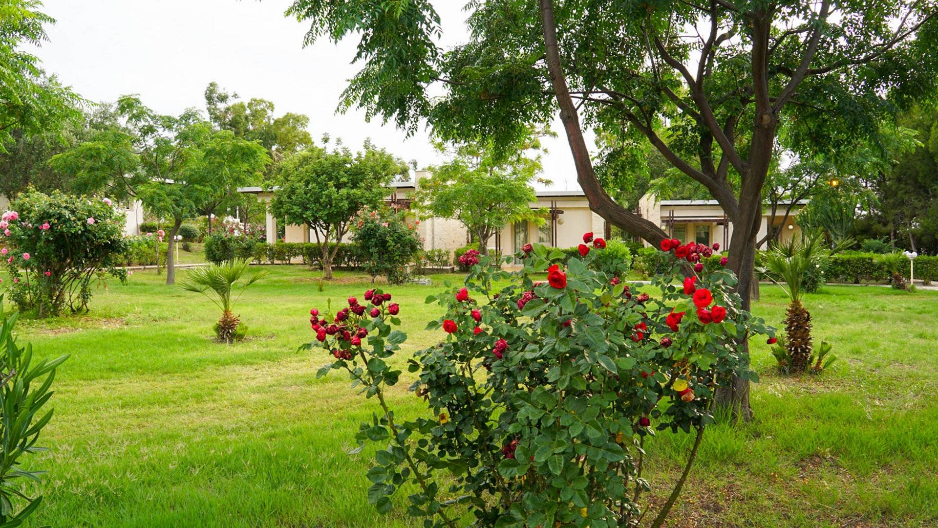 Villaggio Le Rosette