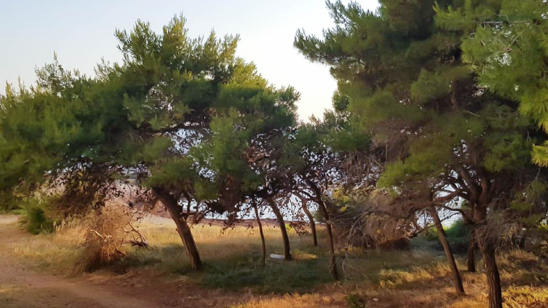 Le Corti di Rivabella