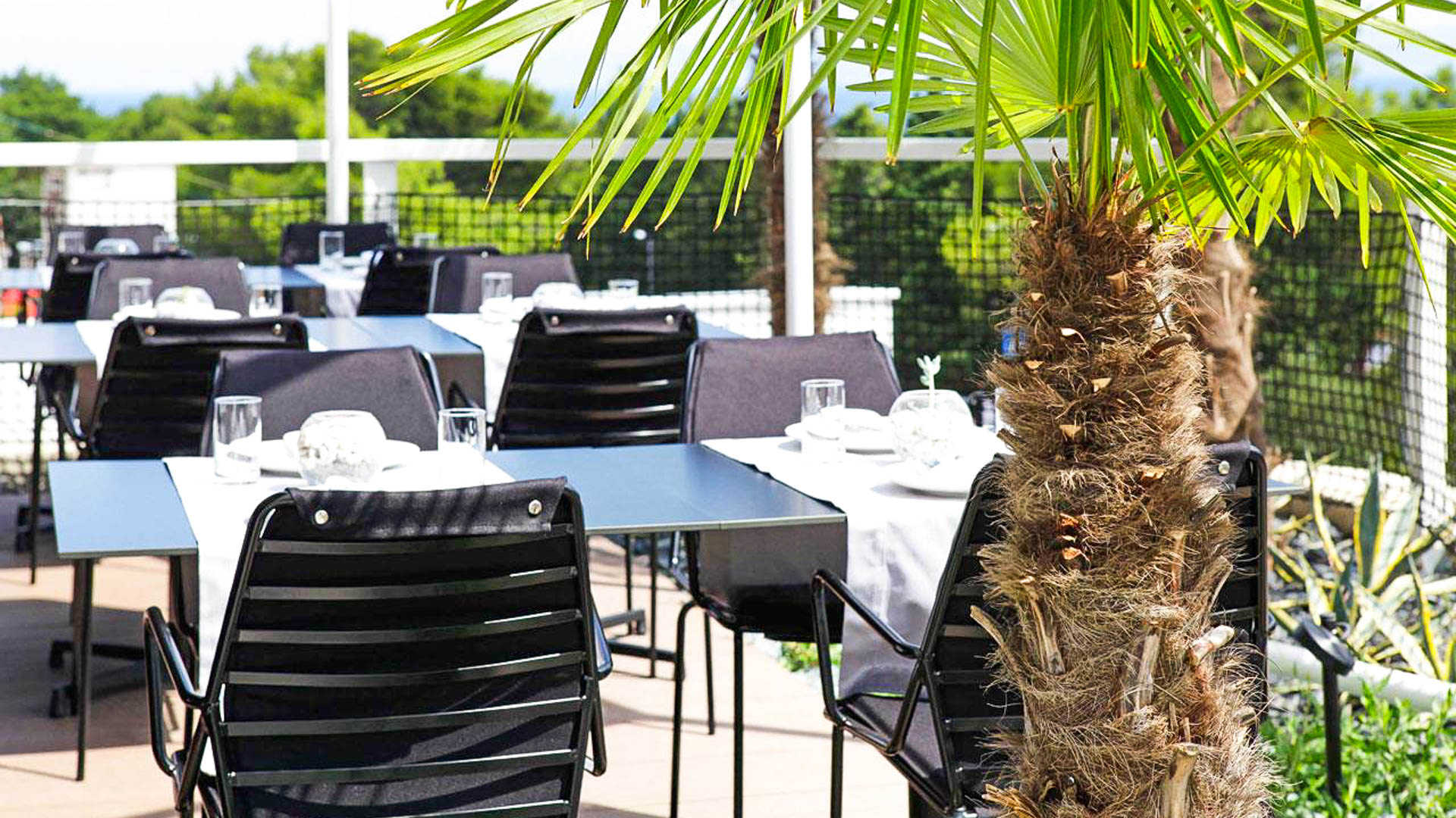 LIFESTYLE HOTEL VITAR