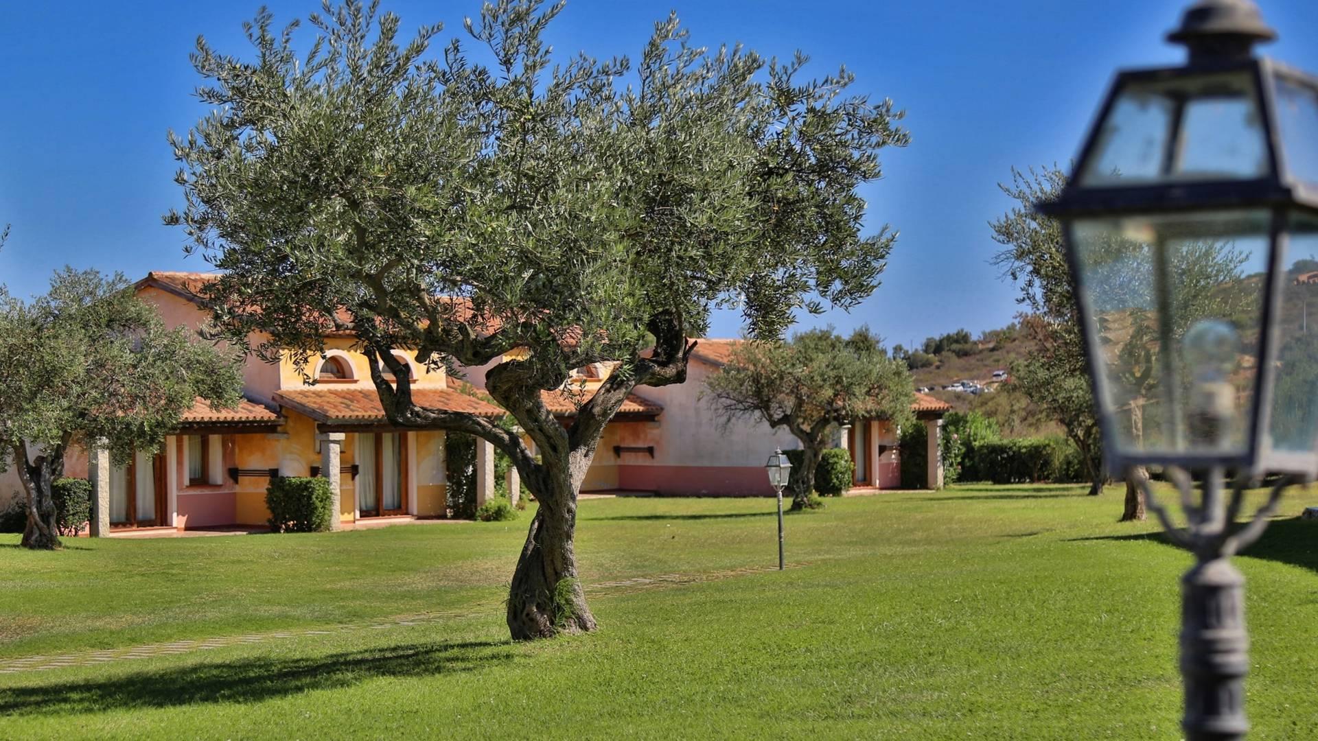 TH San Teodoro