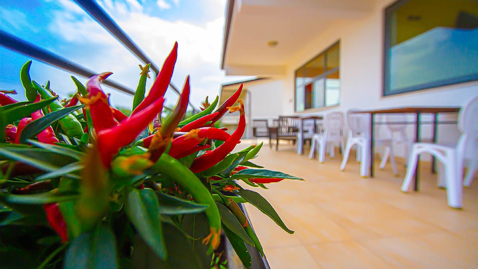 Medimare Residence Club