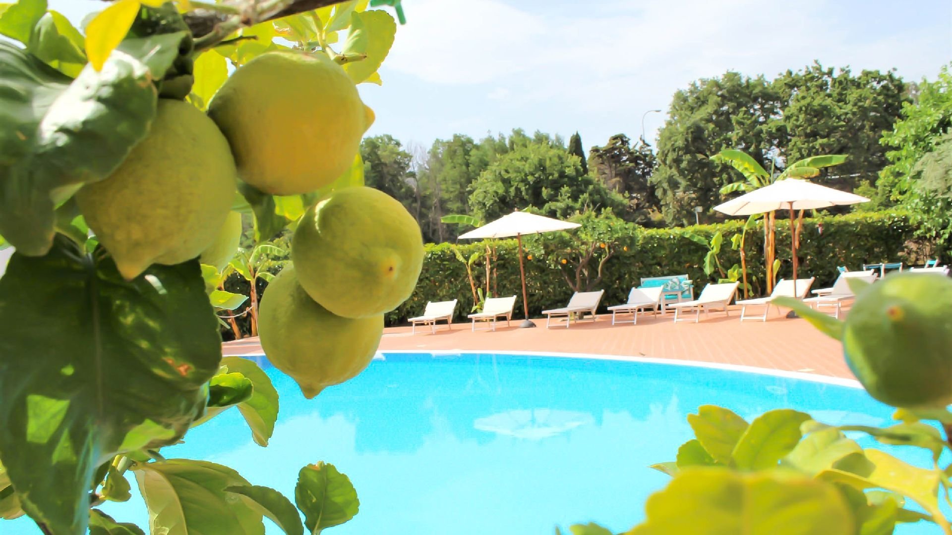 Medimare Residence Club