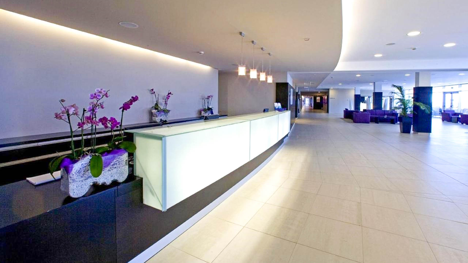 Molindrio Plava Laguna