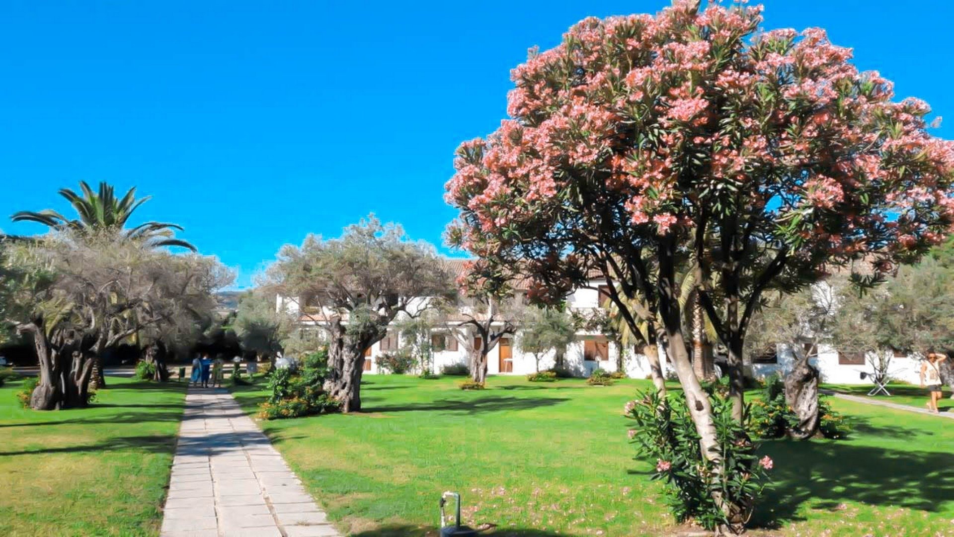 Nausicaa Village