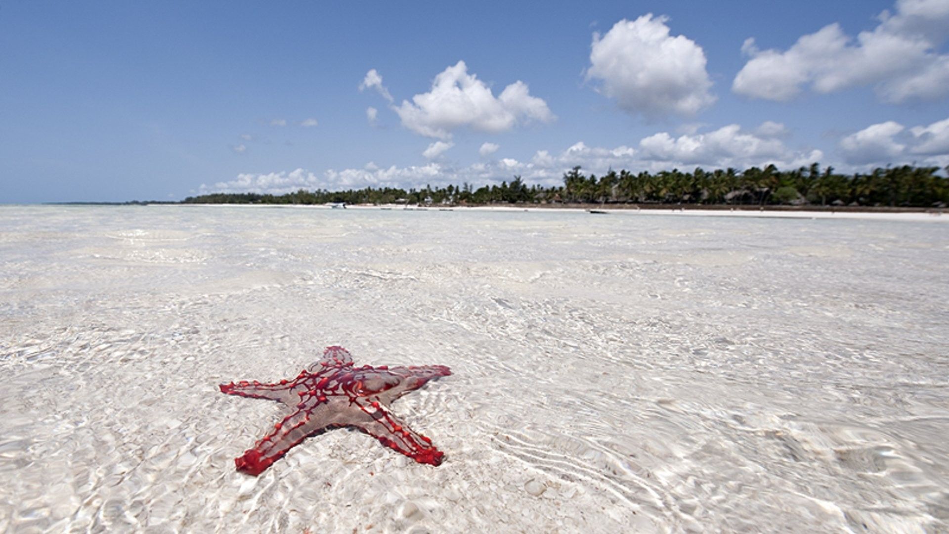 Neptune Village Beach Resort & Spa
