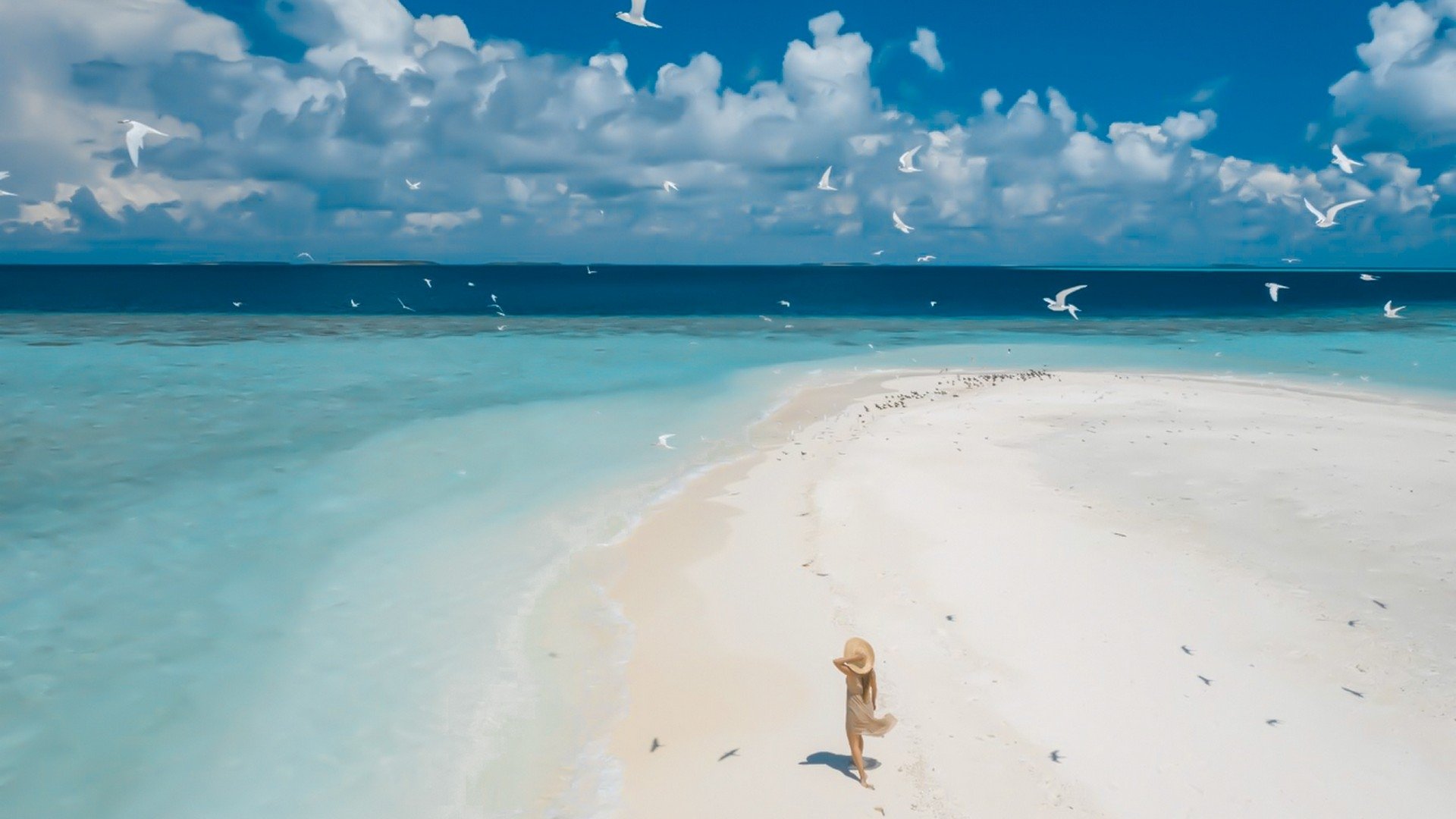 Paradise Island Resort & SPA