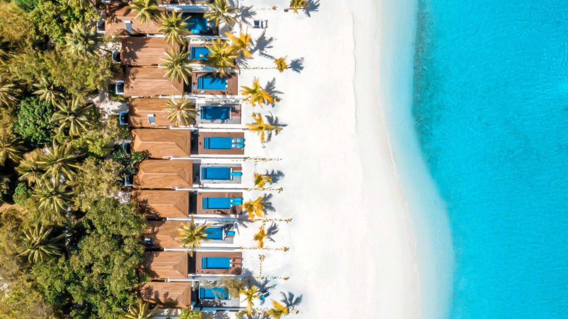 Paradise Island Resort & SPA