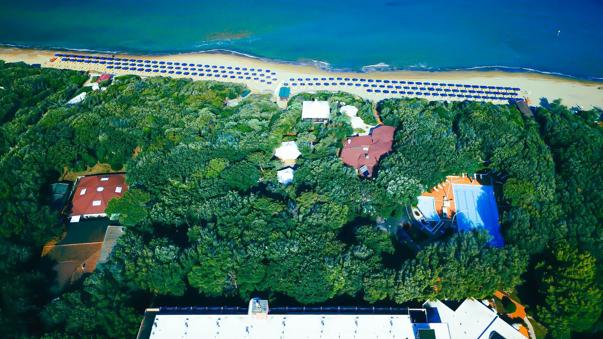 Park Hotel I Lecci