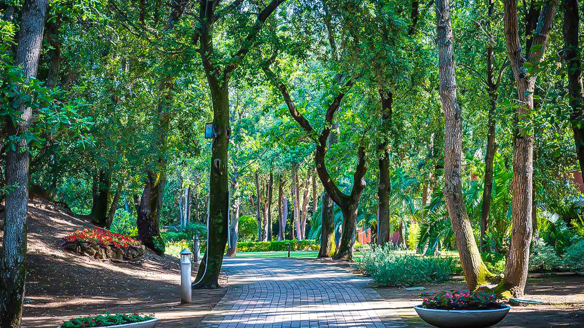 Park Hotel I Lecci