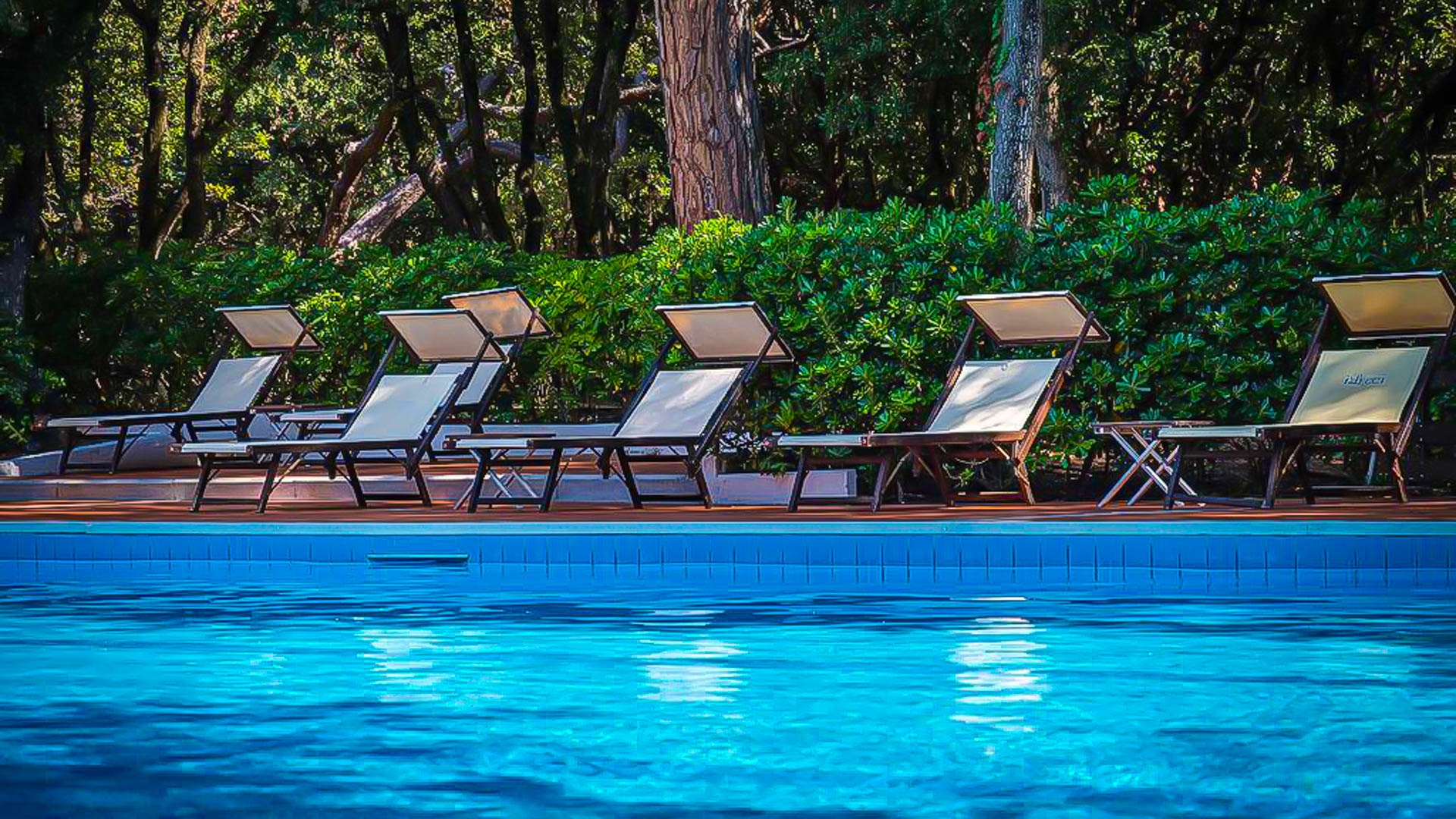 Park Hotel I Lecci