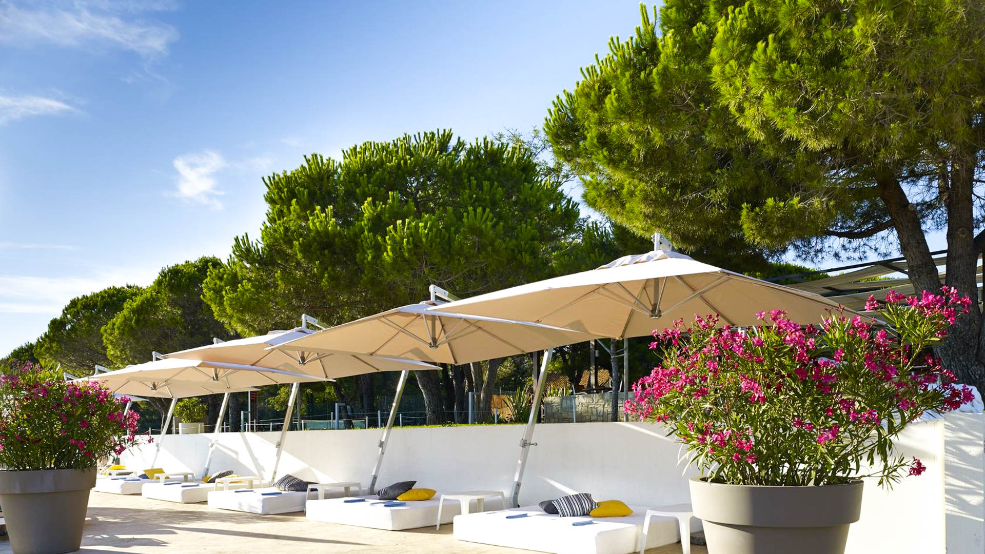 Park Plaza Belvedere