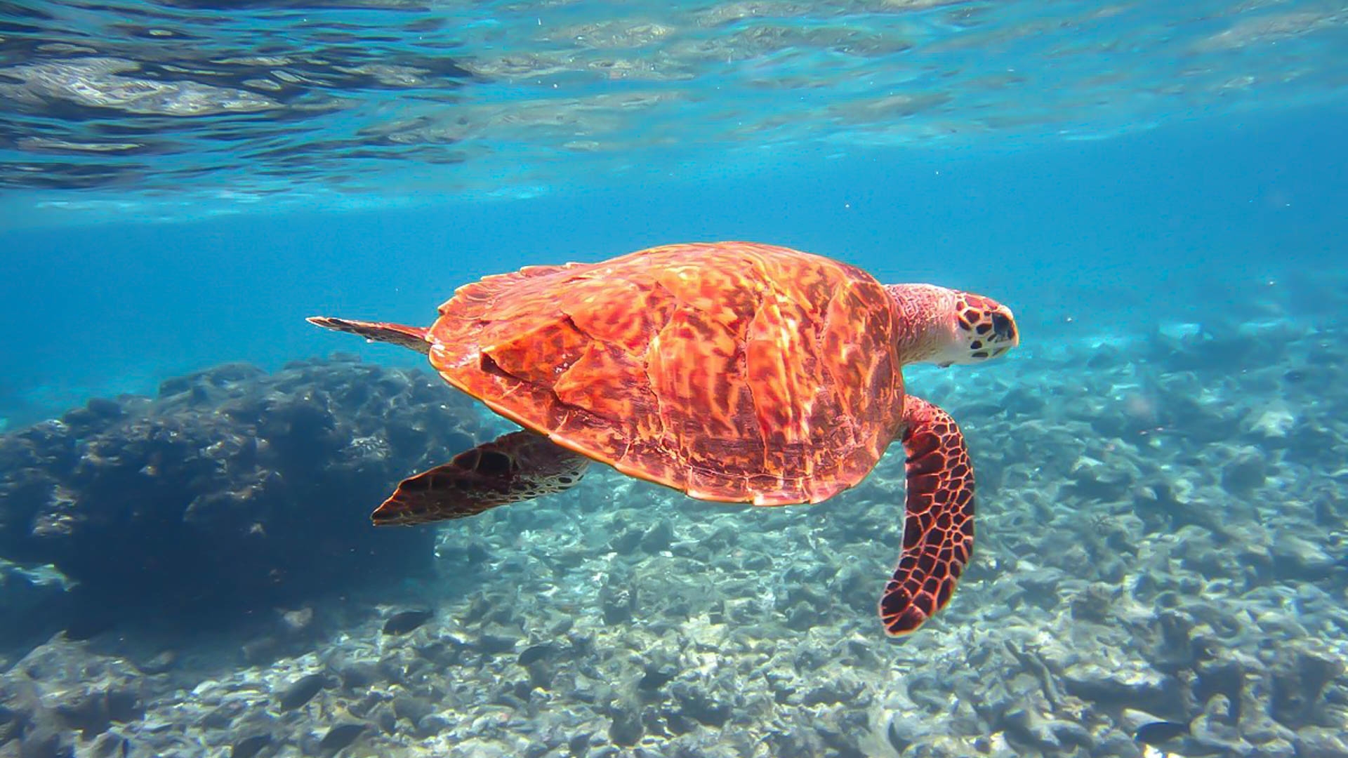 Pearl Sands of Maldives