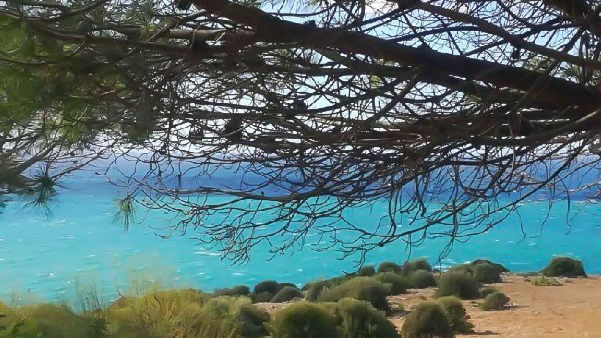Perla del Golfo
