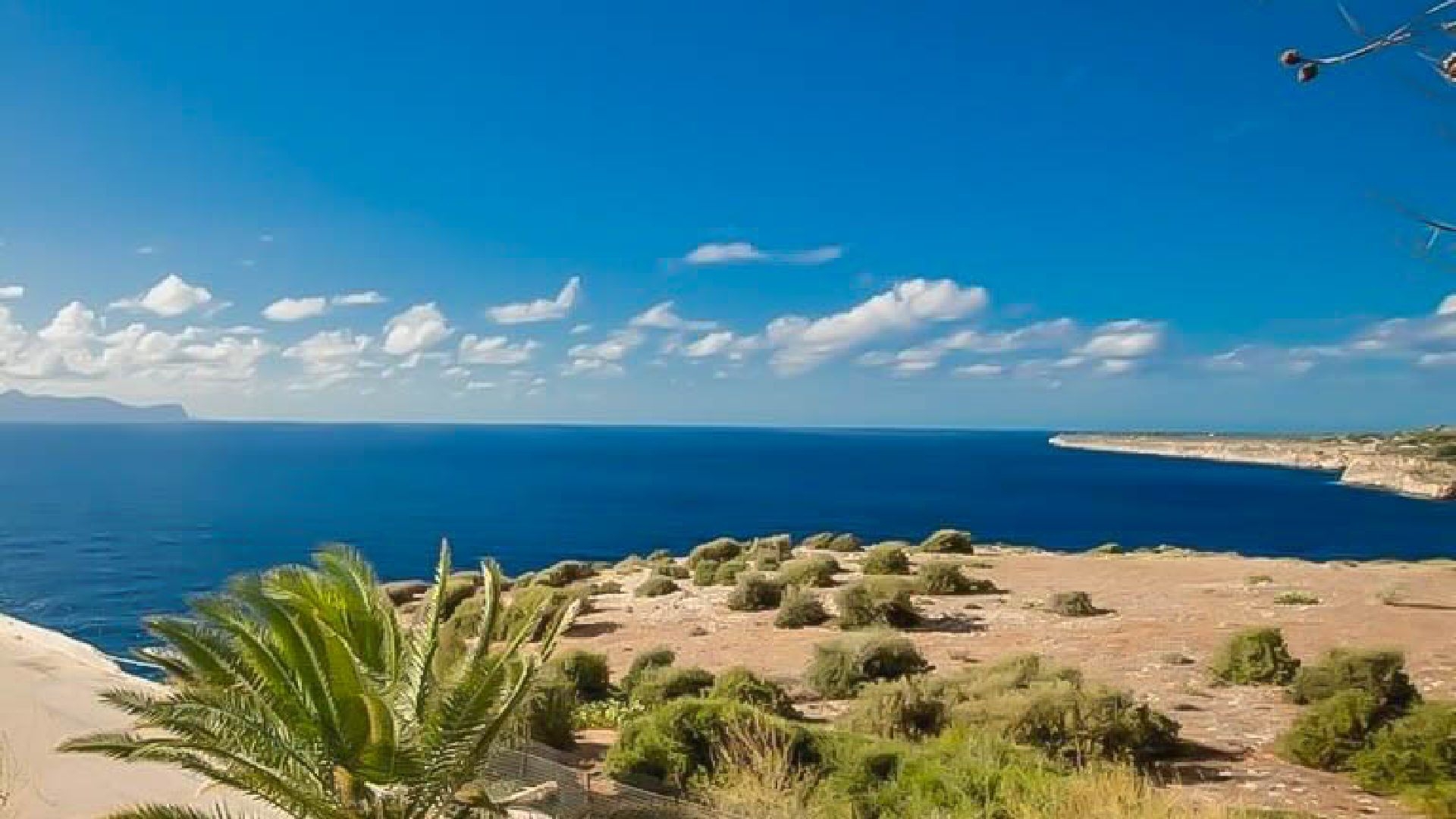 Perla del Golfo
