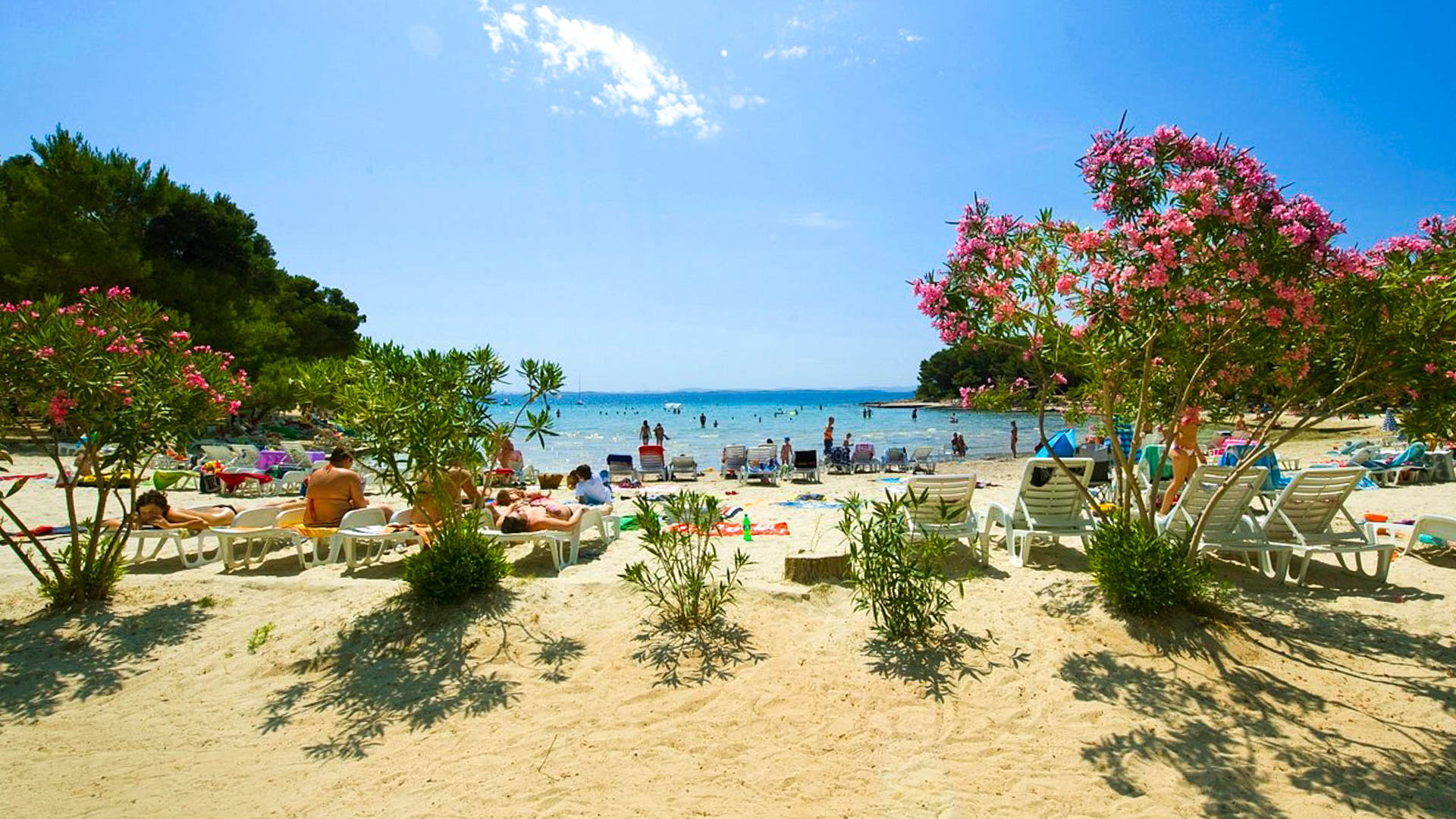 Pine Beach