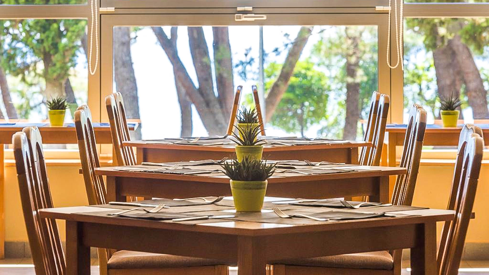 Polynesia Plava Laguna