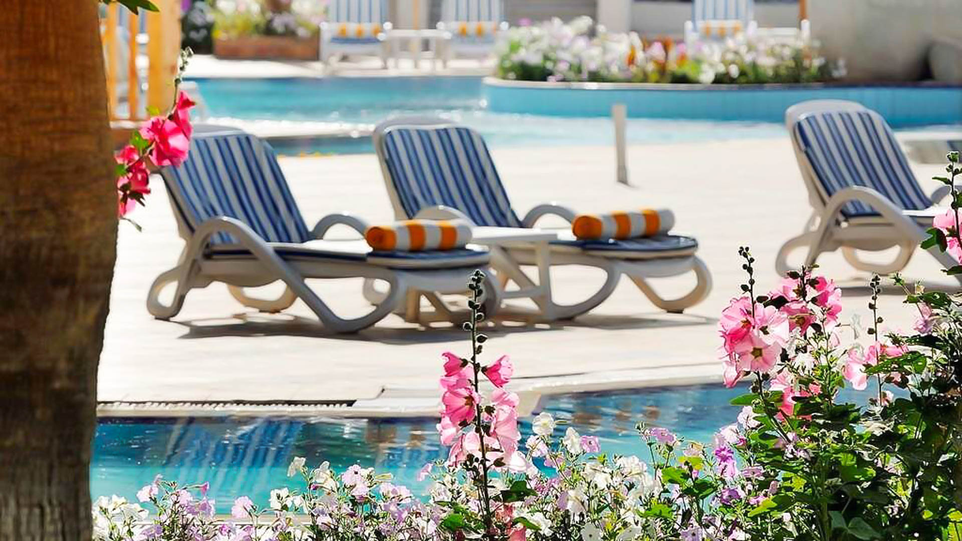 Promenade Beach Resort