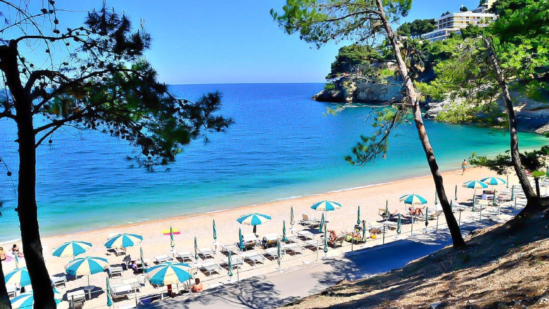 Hotel degli Ulivi - Pugnochiuso Resort
