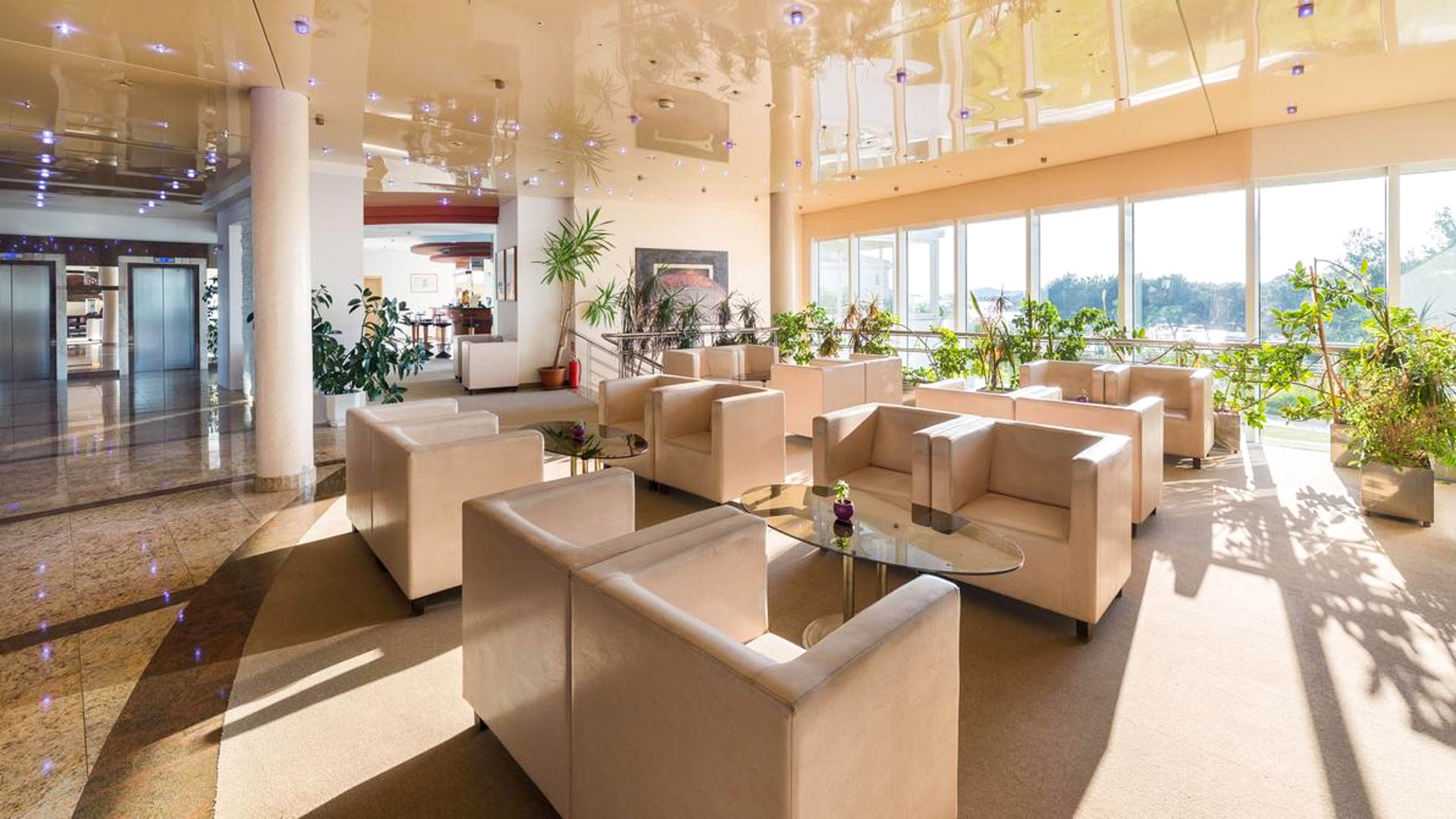 Hotel Punta