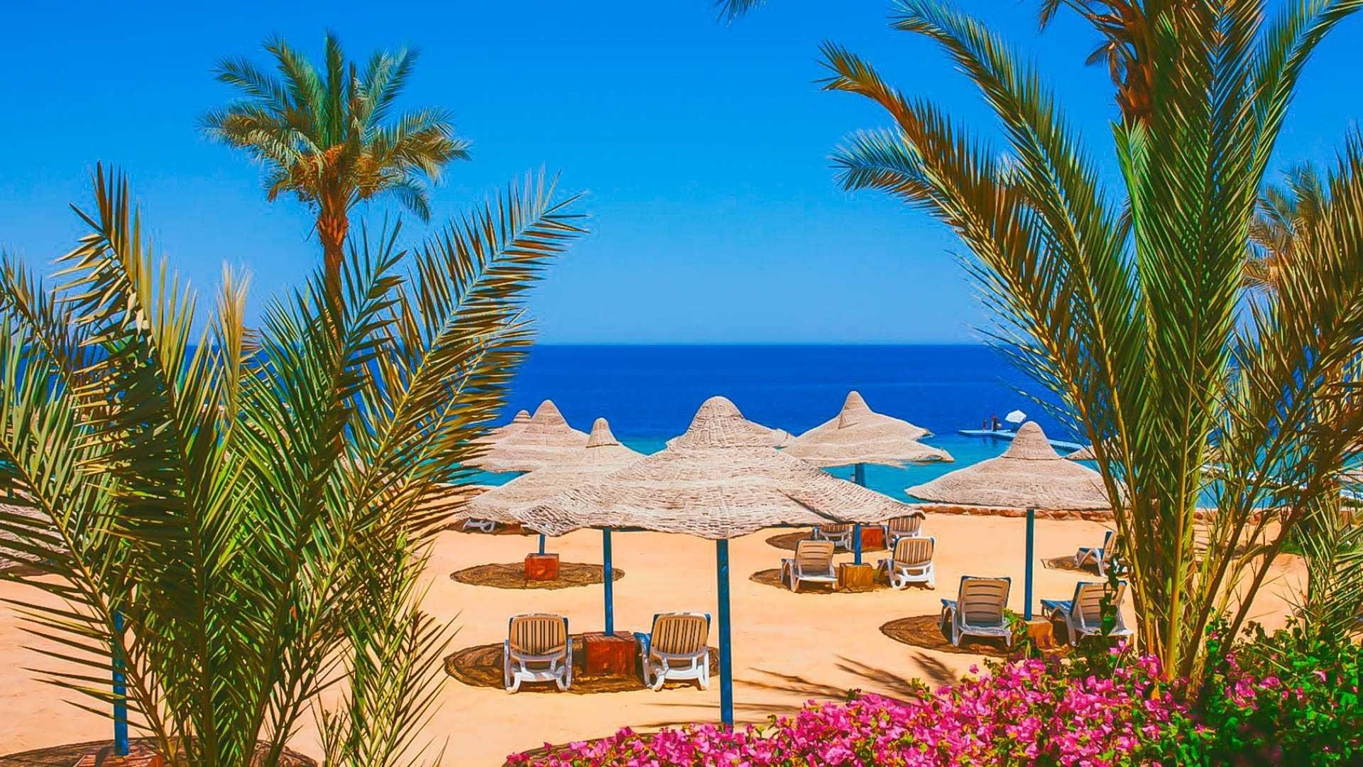Queen Sharm Resort