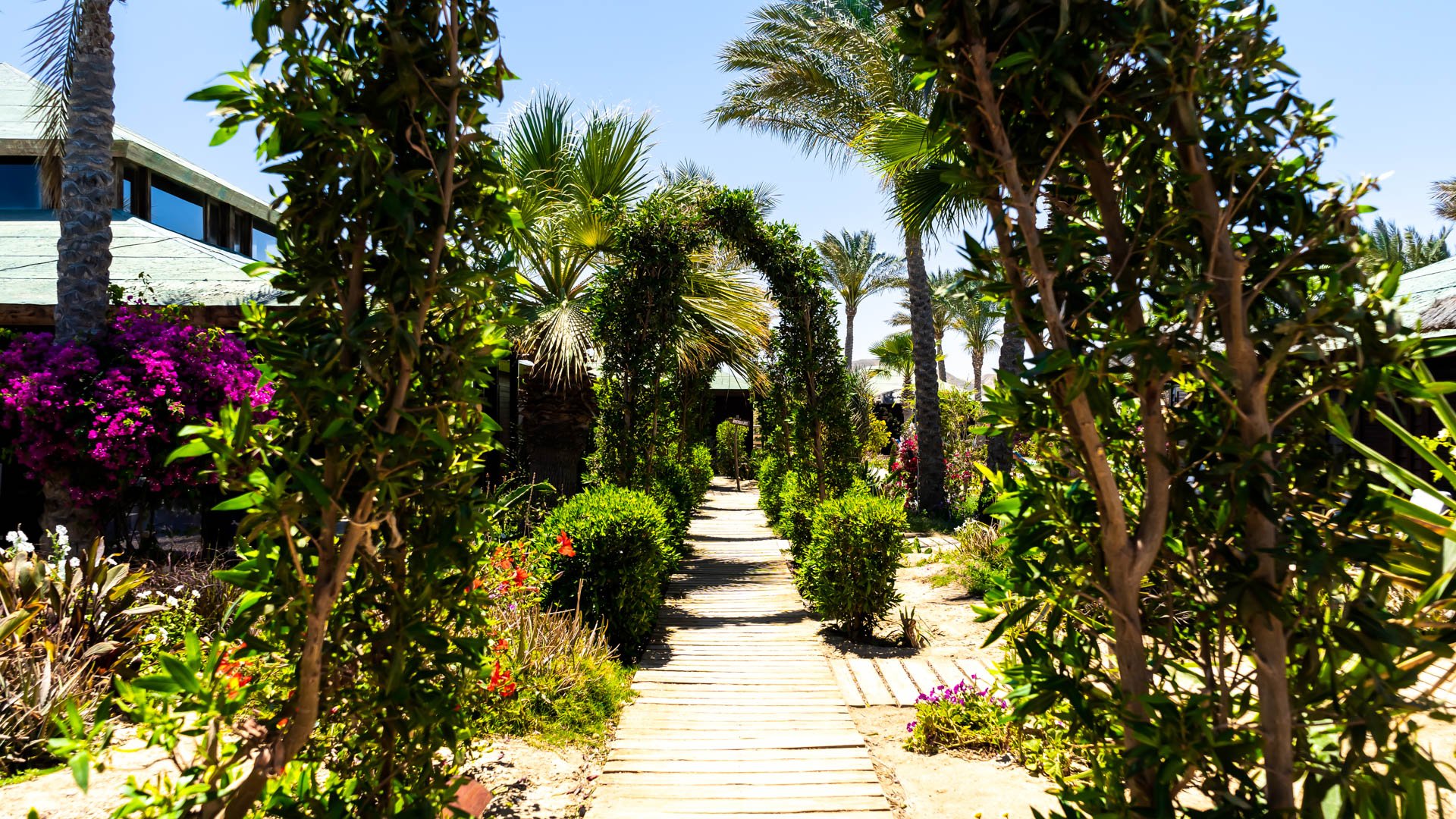 Red Sea Hotel