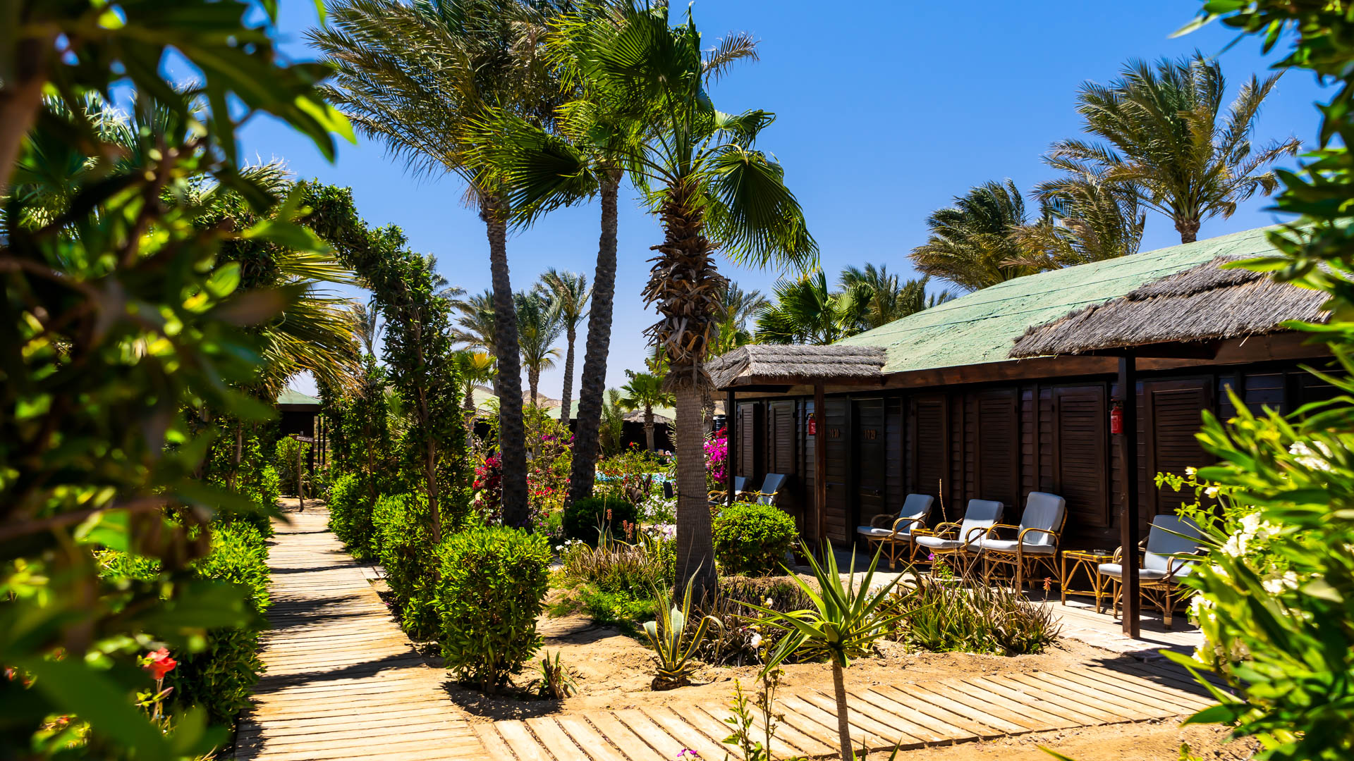 Red Sea Hotel