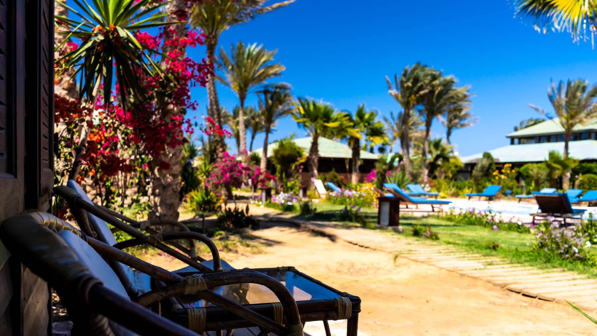Red Sea Hotel