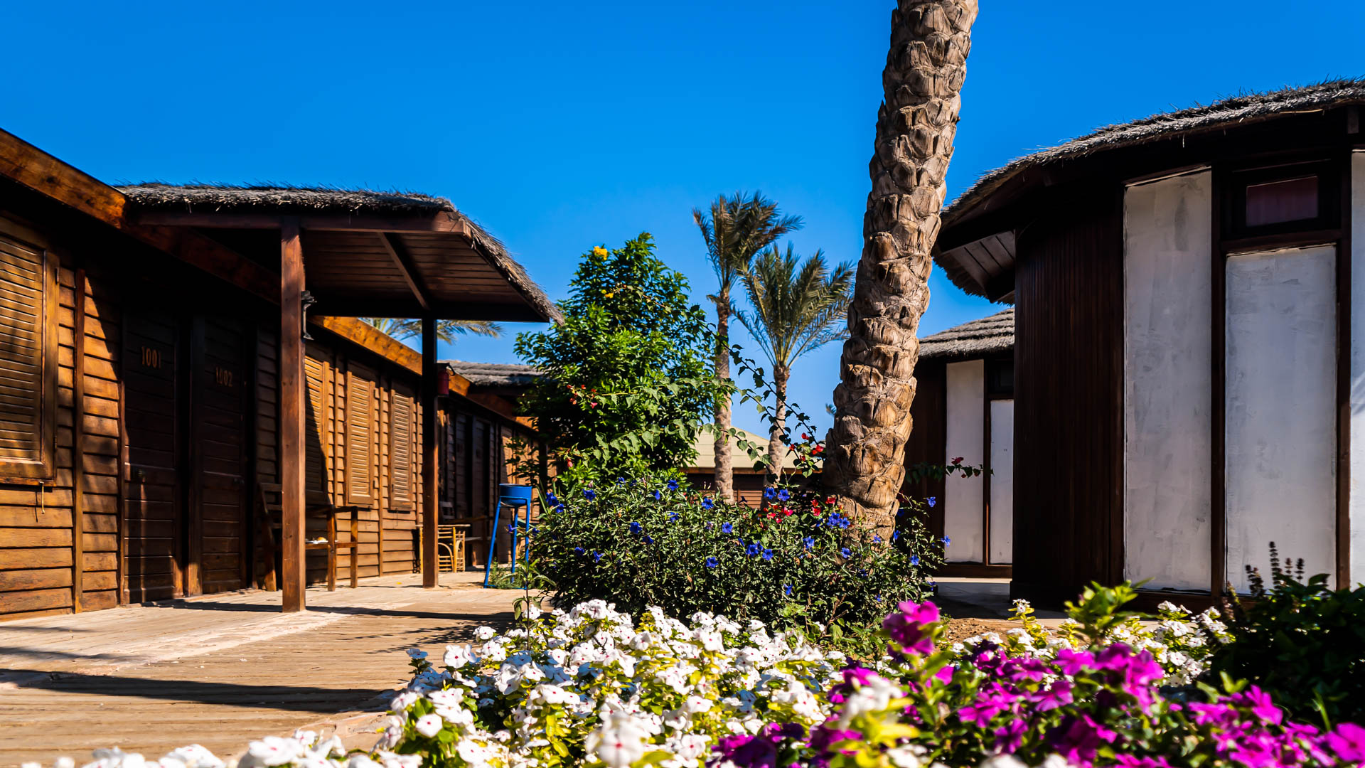 Red Sea Hotel