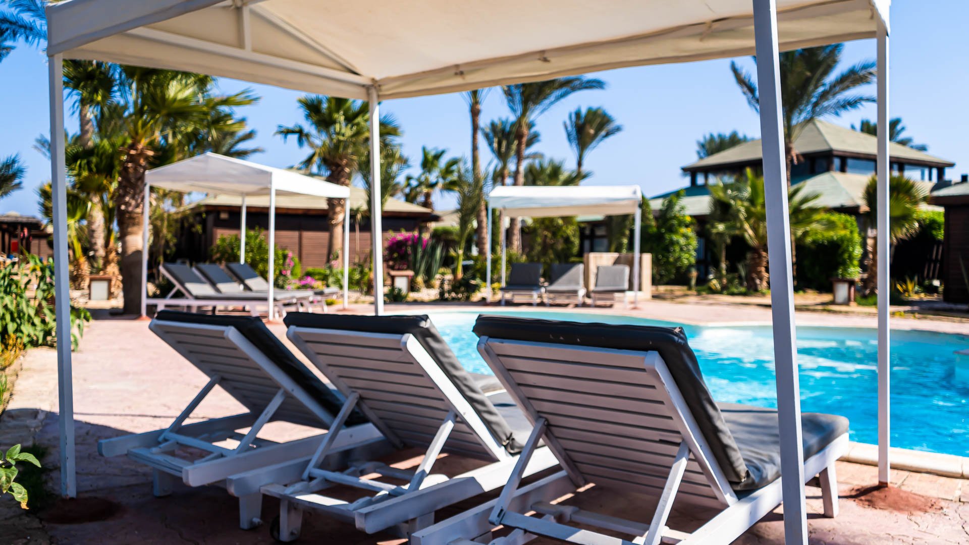 Red Sea Hotel