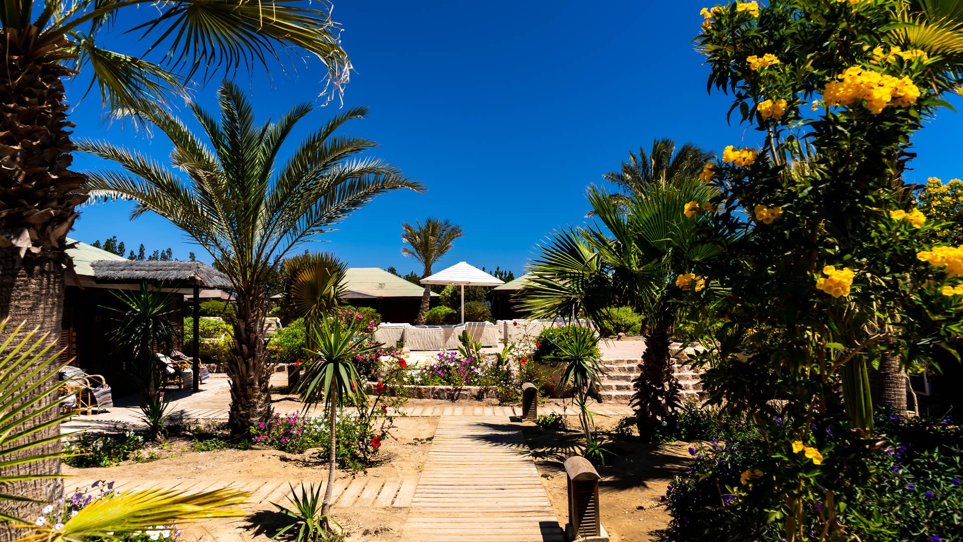 Red Sea Hotel
