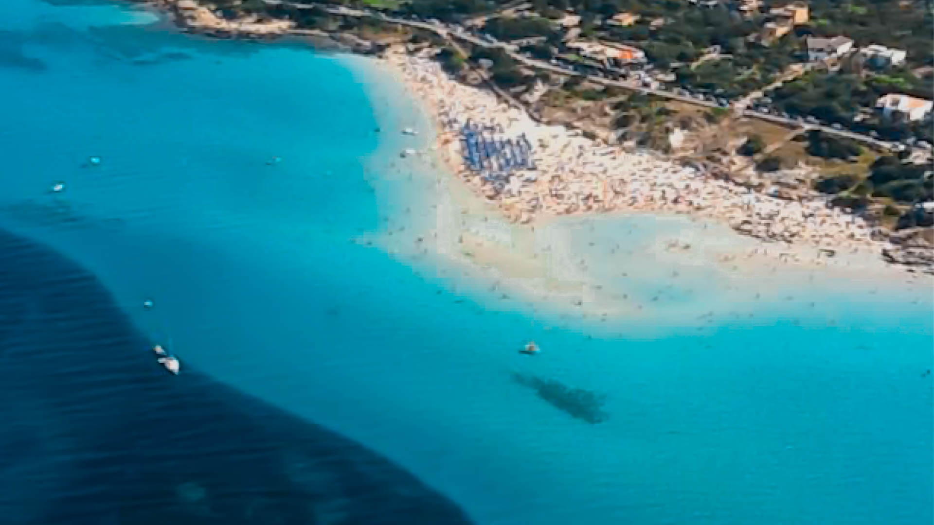 Appartamenti Capo Falcone