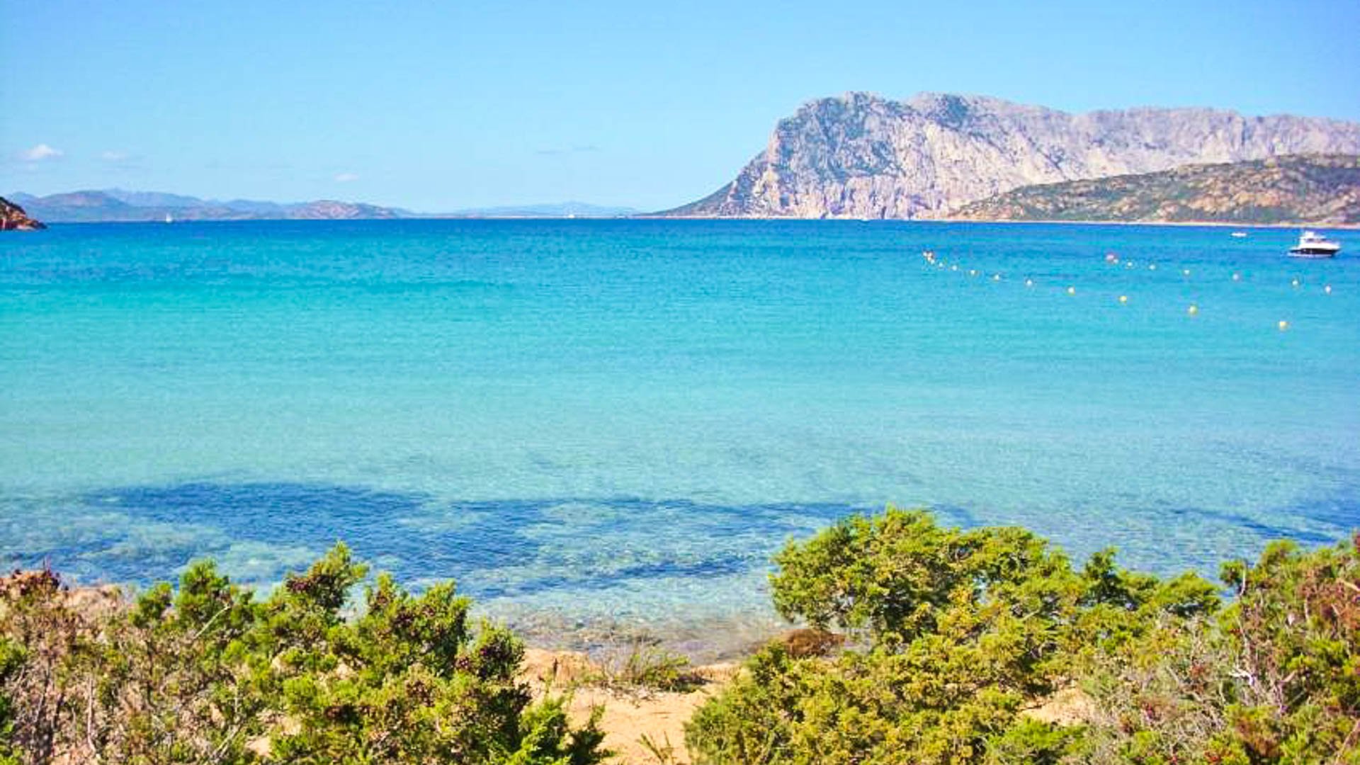 Residenze Gallura