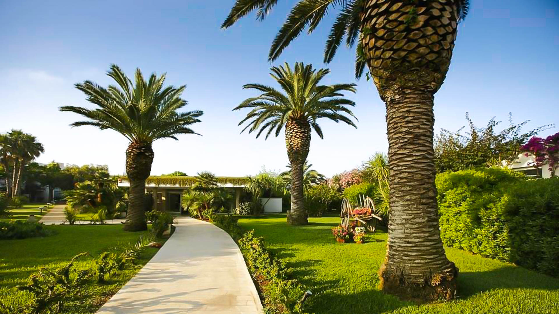 Robinson Apulia