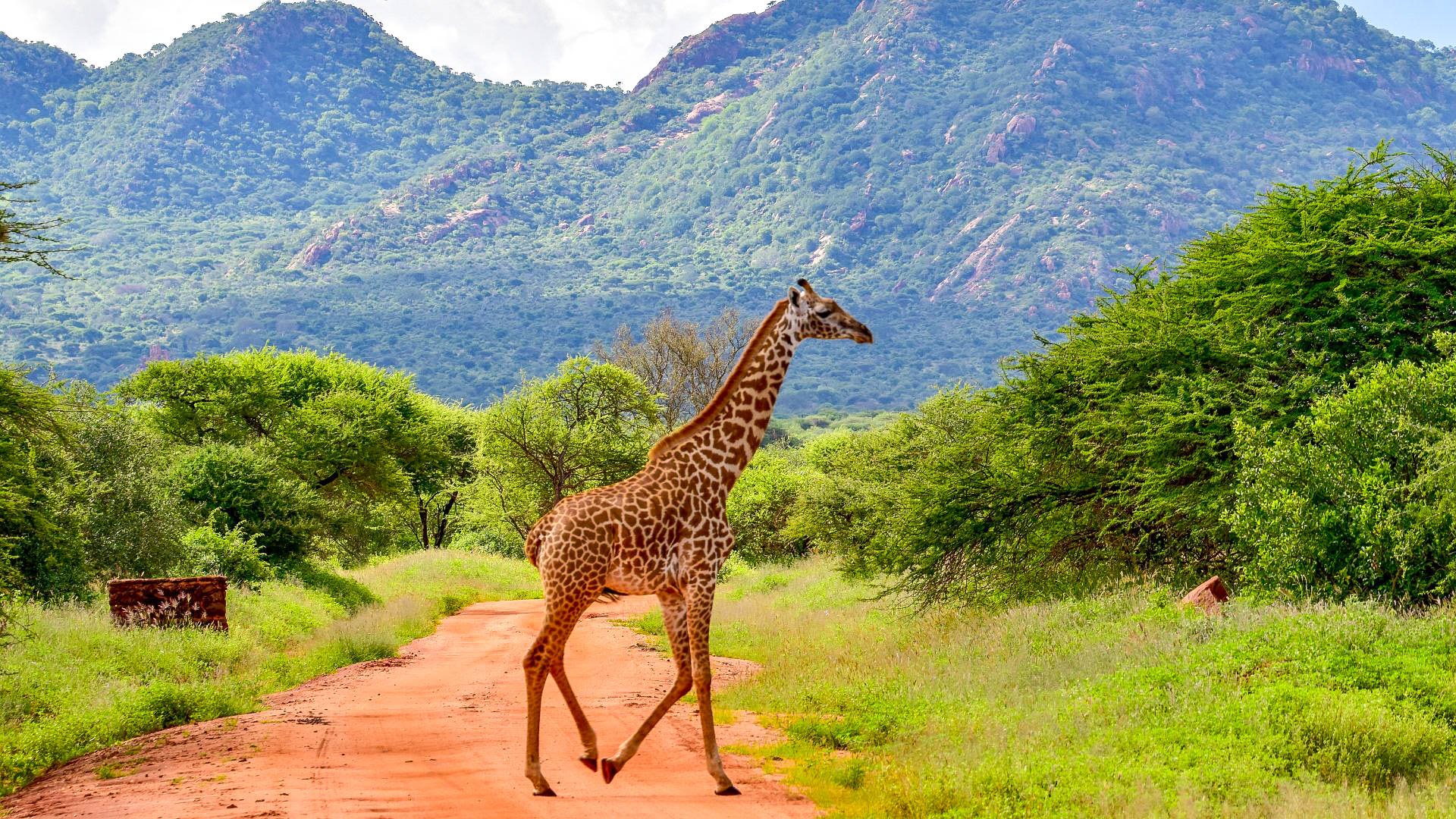 Tsavo Safari - Veraclub Crystal Bay Resort