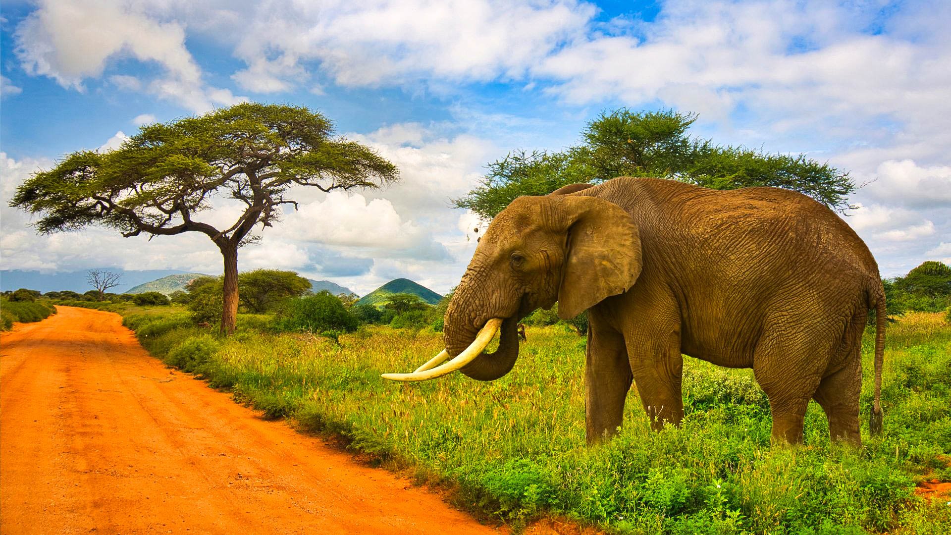 Tsavo Safari - Veraclub Crystal Bay Resort