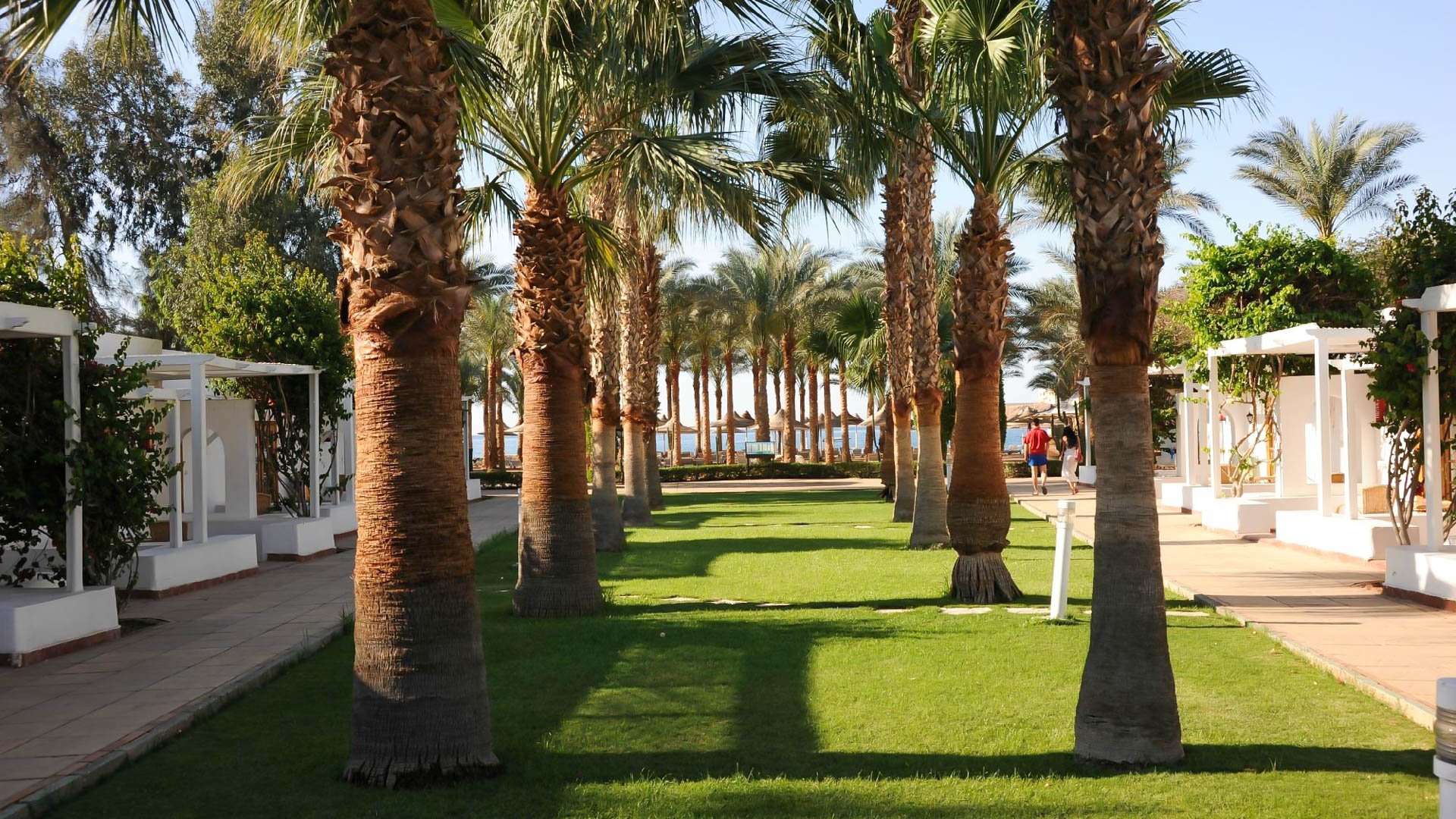 Seti Sharm Palm Beach Resort