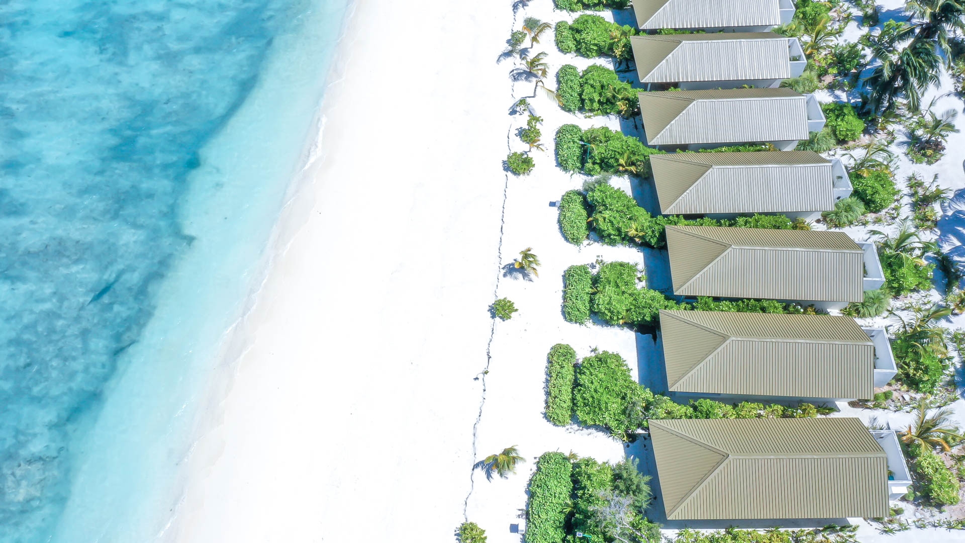 South Palm Resort