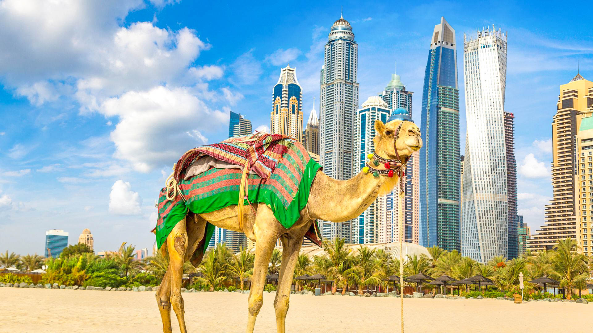 Speciale Epifania a Dubai