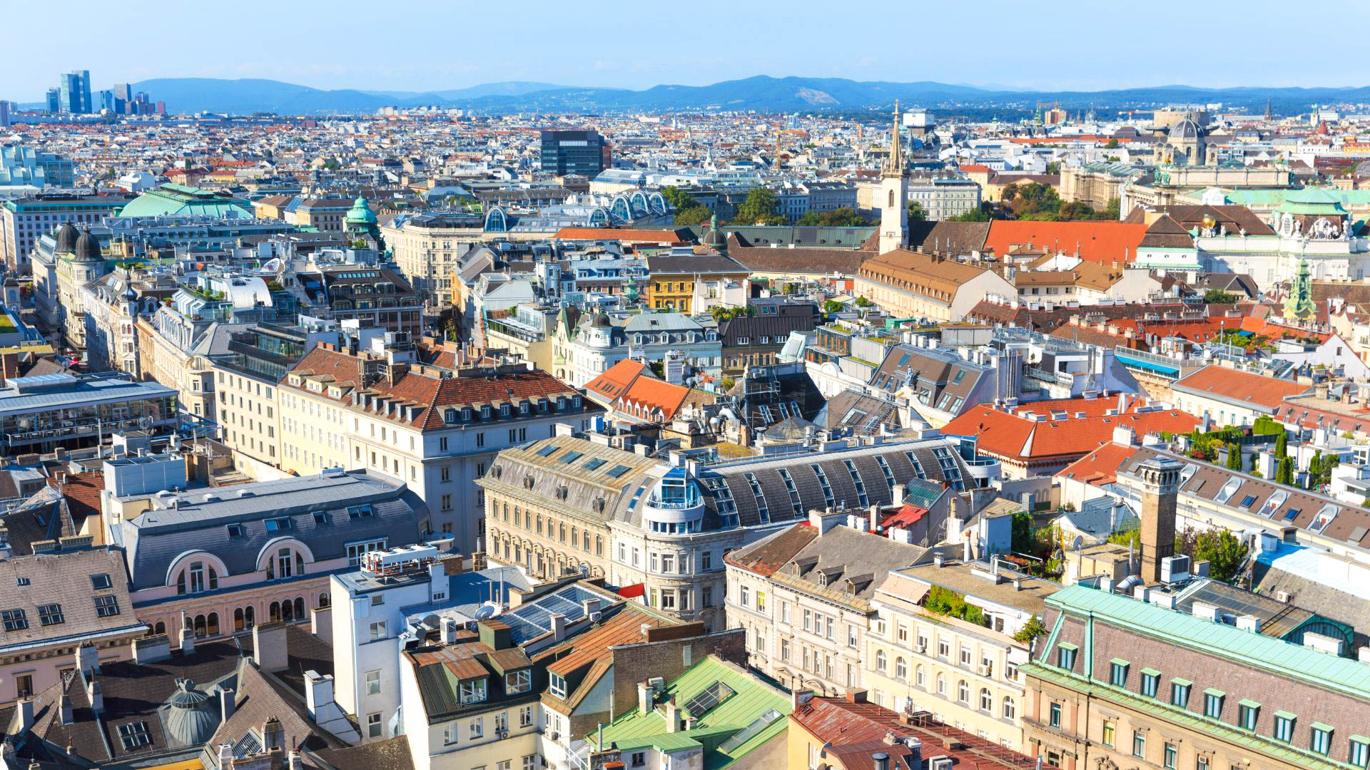 Speciale Vienna