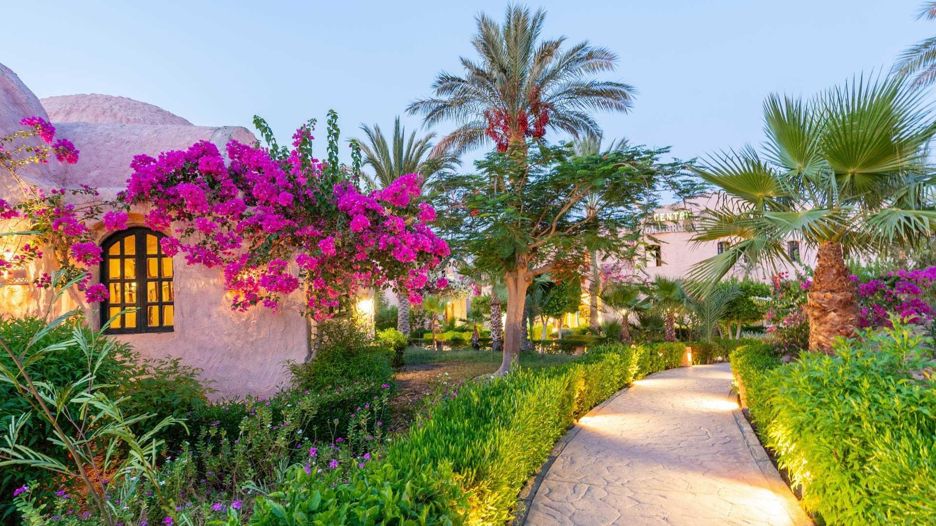TH Marsa Alam Blue Lagoon