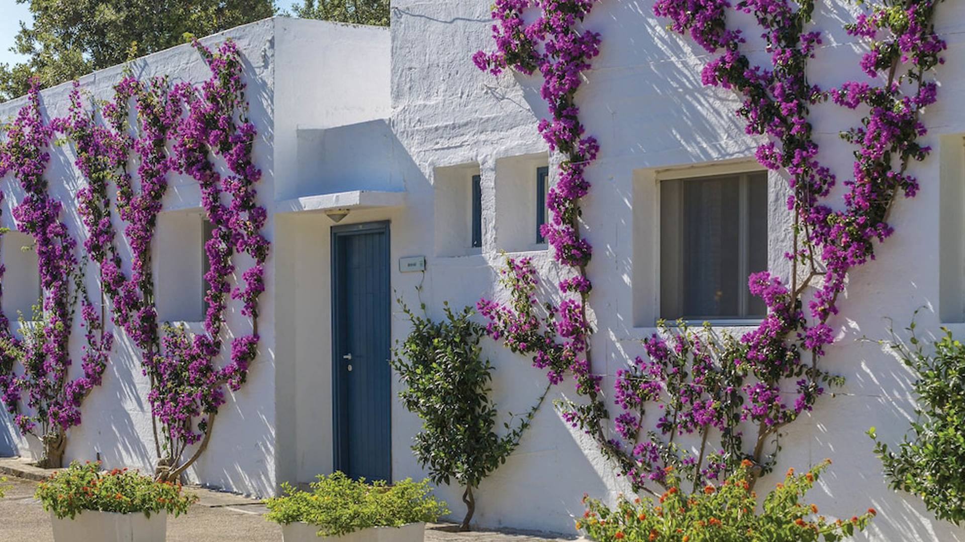 TH Ostuni